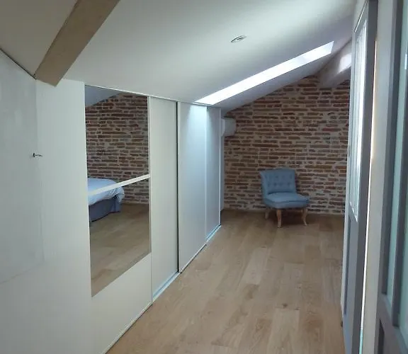 Διαμέρισμα Les Toits Du Capitole - Loft De Standing 60 M2 - Parking En Option Τουλούζη