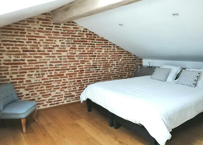 Διαμέρισμα Les Toits Du Capitole - Loft De Standing 60 M2 - Parking En Option Τουλούζη