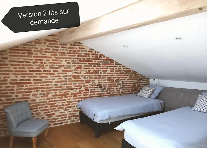 Les Toits Du Capitole - Loft De Standing 60 M2 - Parking En Option * تولوز